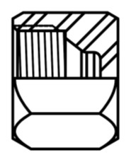 SS304-C Cap Nut
