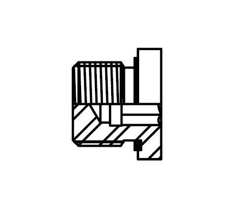 VPFVSTI Threaded Straight Fitting, BSPP Hexagon Socket Elastomeric Seal Plug